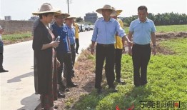 揭西今日爆料新闻视频播放,视频揭秘当地热点事件